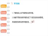 多元文化多样魅力（第一课时） 精品课件
