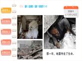 应对自然灾害（第三课时） 精品课件