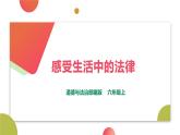 第一课 感受生活中的法律  优秀课件