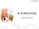 感受生活中的法律（第二课时） 精品课件