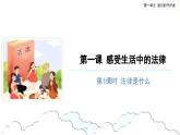 感受生活中的法律（第一课时） 精品课件