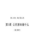 公民意味着什么 第2课时  优秀课件