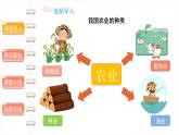 我们的衣食之源（第二课时）-精品课件