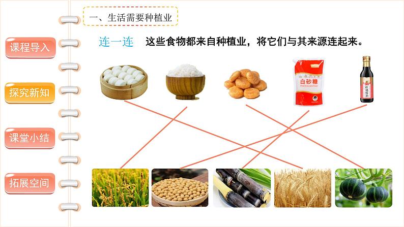 我们的衣食之源（第二课时）-精品课件第8页