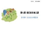 我们的衣食之源（第一课时）-精品课件