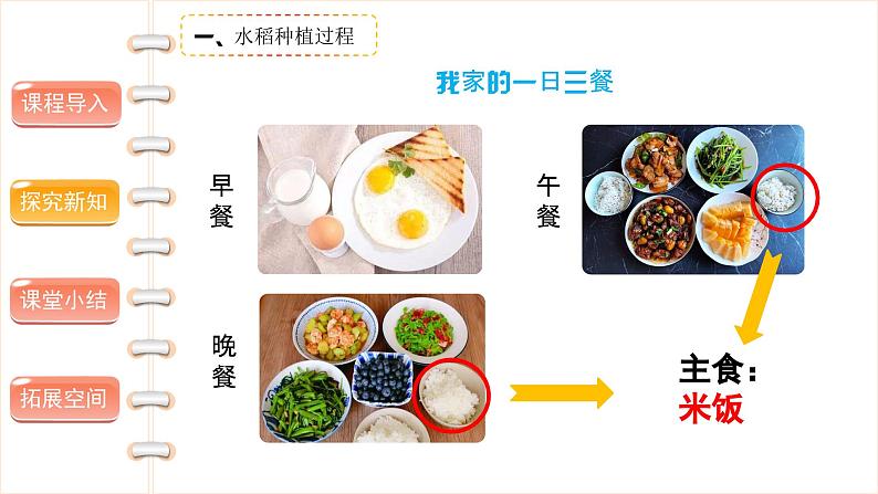 我们的衣食之源（第一课时）-精品课件第4页