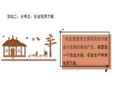 我们的衣食之源 第2课时 优秀教学课件