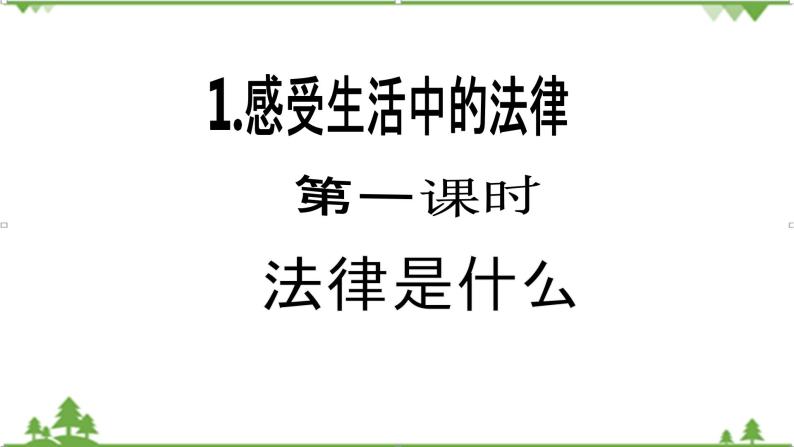 【核心素养目标】六年级上册道德与法治第1课《感受生活中的法律》PPT教学课件（第一课时）+素材02