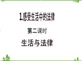 【核心素养目标】六年级上册道德与法治第1课《感受生活中的法律》PPT教学课件（第二课时）+素材