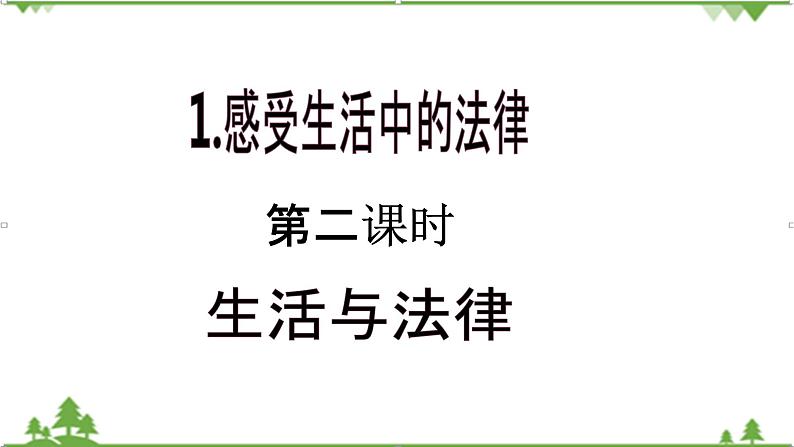 【核心素养目标】六年级上册道德与法治第1课《感受生活中的法律》PPT教学课件（第二课时）+素材02