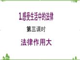 【核心素养目标】六年级上册道德与法治第1课《感受生活中的法律》PPT教学课件（第三课时）+素材