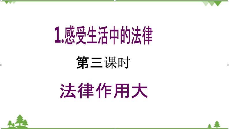 【核心素养目标】六年级上册道德与法治第1课《感受生活中的法律》PPT教学课件（第三课时）+素材02