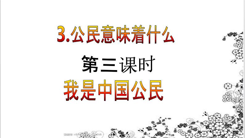 【核心素养目标】六年级上册道德与法治第3课《公民意味着什么》PPT教学课件（第三课时）+素材02
