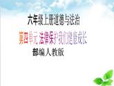 【核心素養(yǎng)目標(biāo)】六年級(jí)上冊(cè)道德與法治第9課《知法守法 依法維權(quán)》PPT教學(xué)課件（第三課時(shí)）+素材