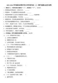 湖北省荆州市石首市2023-2024学年四年级（上）期中道德与法治试卷  含解析