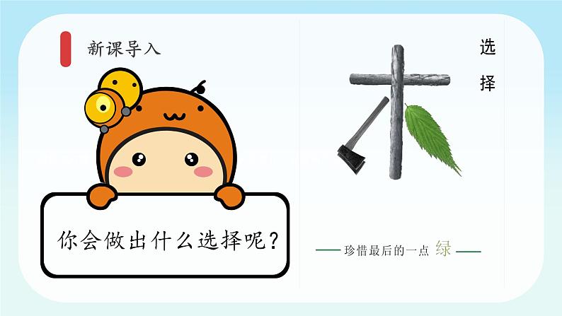 第12课时《我的环保小搭档》课件+教案+视频04