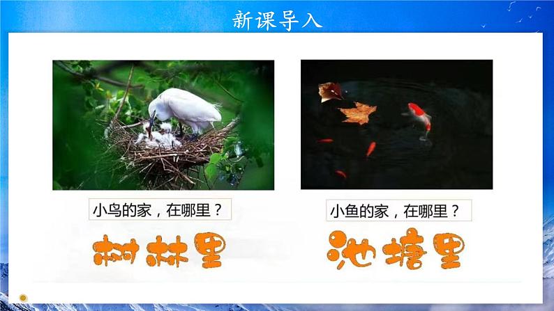 第5课《我的家在这里》课件+教案03