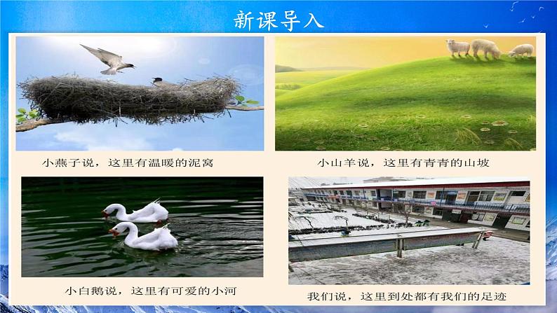 第5课《我的家在这里》课件+教案04