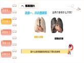 主动拒绝烟酒与毒品（第一课时） 精品课件