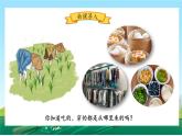 第7课《我们的衣食之源》课件+教案