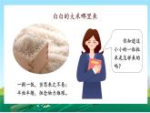 第7课《我们的衣食之源》课件+教案