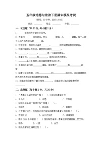 期末综合练（试题）统编版道德与法治五年级下册