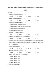 2023-2024学年山东省烟台市栖霞市五年级上学期期中道德与法治试卷（含答案解析）