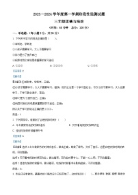 2023-2024学年山东省枣庄市山亭区部编版三年级上册期中考试道德与法治试卷（解析版）