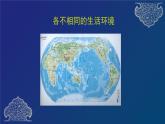道德与法治六年级下册 第七课 多元文化 多样魅力 教学课件