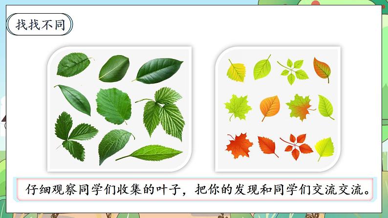 【核心素养】人教部编版道法三年级下册 2.1 《不一样的你我他》 第一课时 课件+素材03