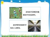 部編版道法四年級(jí)下冊(cè) 9　生活離不開他們（第1課時(shí)） 同步課件