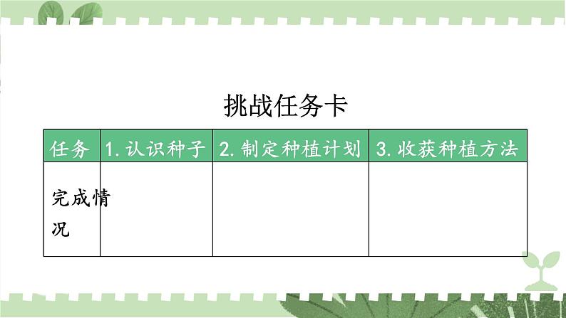 二年级下册道德与法治上课课件 4 试种一粒籽02