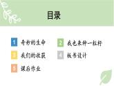 二年級下冊道德與法治上課課件 4 試種一粒籽