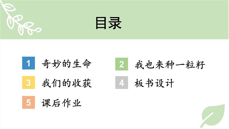 二年级下册道德与法治上课课件 4 试种一粒籽03