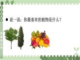 二年級下冊道德與法治上課課件 4 試種一粒籽