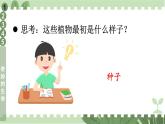 二年級下冊道德與法治上課課件 4 試種一粒籽