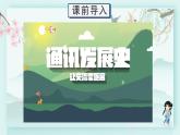 三年級下冊道德與法治上課課件 13 萬里一線牽