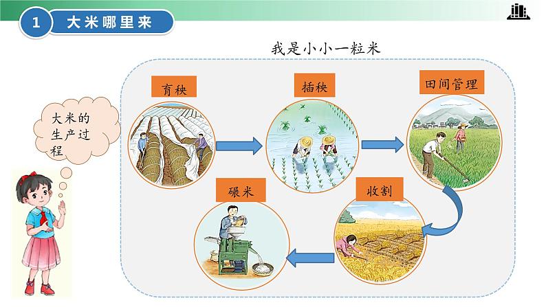 部编版道法四年级下册 第7课 我们的衣食之源 第一课时 同步课件+同步教案06