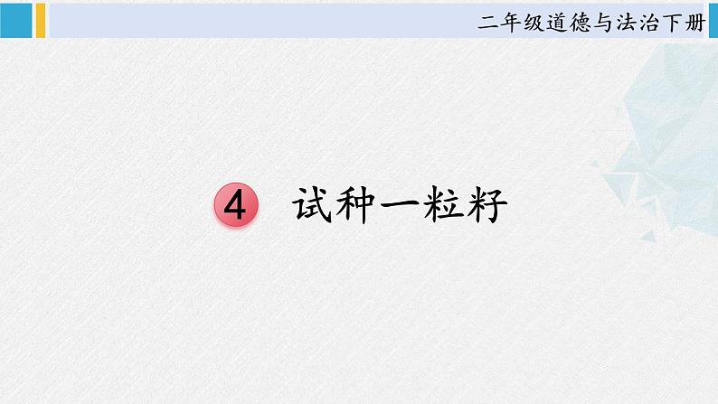 二年级道德与法治下册 1.第一单元 让我试试看4 试种一粒籽（教学课件）第1页