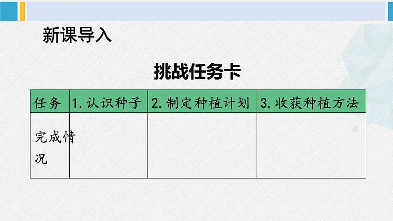 二年级道德与法治下册 1.第一单元 让我试试看4 试种一粒籽（教学课件）第2页