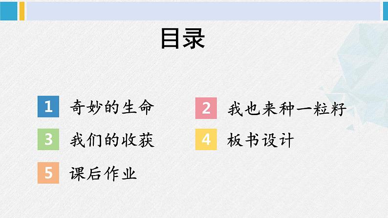 二年级道德与法治下册 1.第一单元 让我试试看4 试种一粒籽（教学课件）第3页