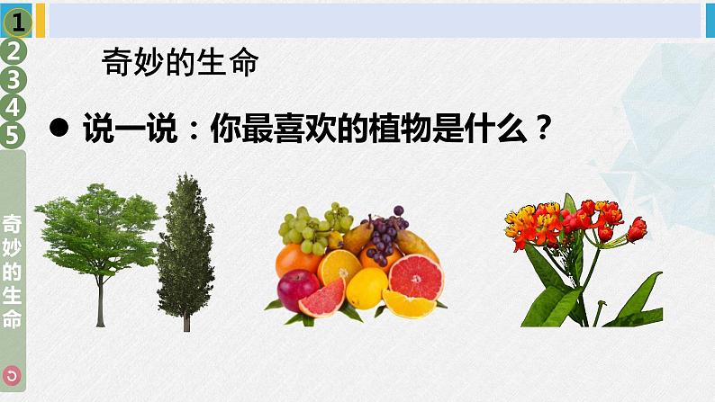 二年级道德与法治下册 1.第一单元 让我试试看4 试种一粒籽（教学课件）第4页