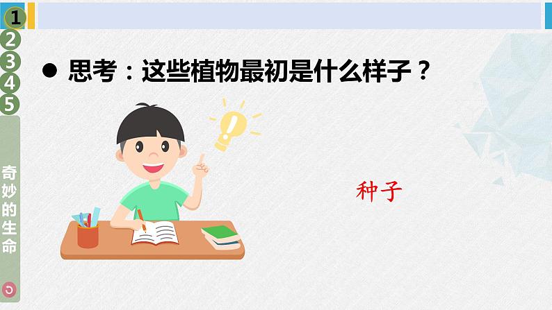 二年级道德与法治下册 1.第一单元 让我试试看4 试种一粒籽（教学课件）第5页