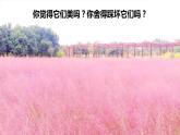 道德与法治五年级下册 6.2我参与  我奉献  第二课时 友善相待 （课件+教案+素材）