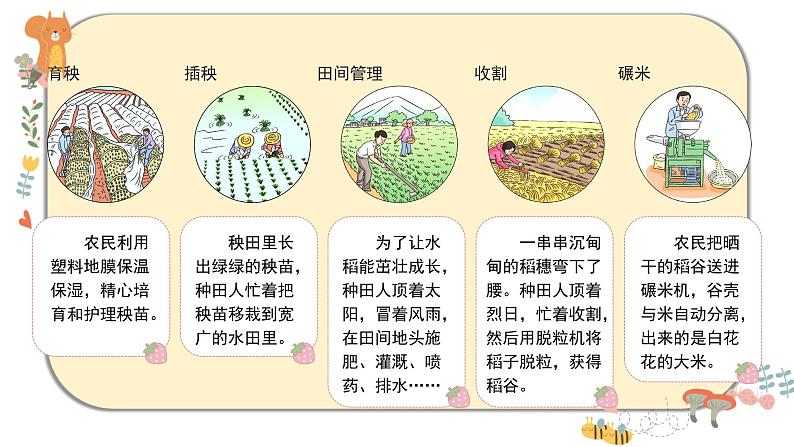 部编版道德与法治四年级下册 7《我们的衣食之源》课件PPT第6页