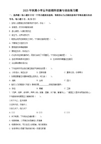 2023-2024学年河南省南阳市南召县统编版五年级上册期末考试道德与法治试卷（原卷版+解析版）