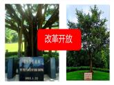 唯改革才有出路 课件