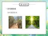 部编版四年级道德与法治下册第四单元《感受家乡文化关心家乡-家乡的喜与忧术》第二课时PPT课件