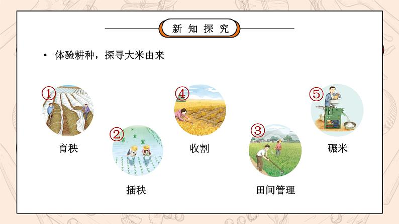 部编版四年级道德与法治下册第三单元《美好生活哪里来-我们的衣食之源》第一课时PPT课件第4页