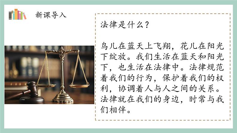 第一课1课时《感受生活中的法律》课件+教案08